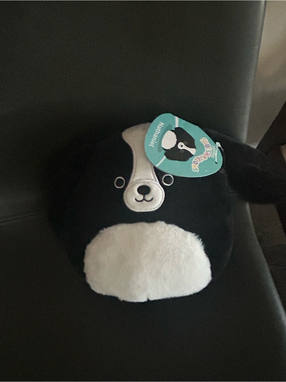 Five squishmallows